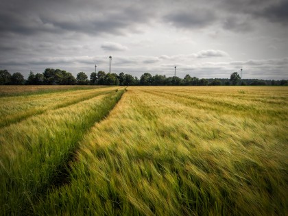 portfolio_landscape_003